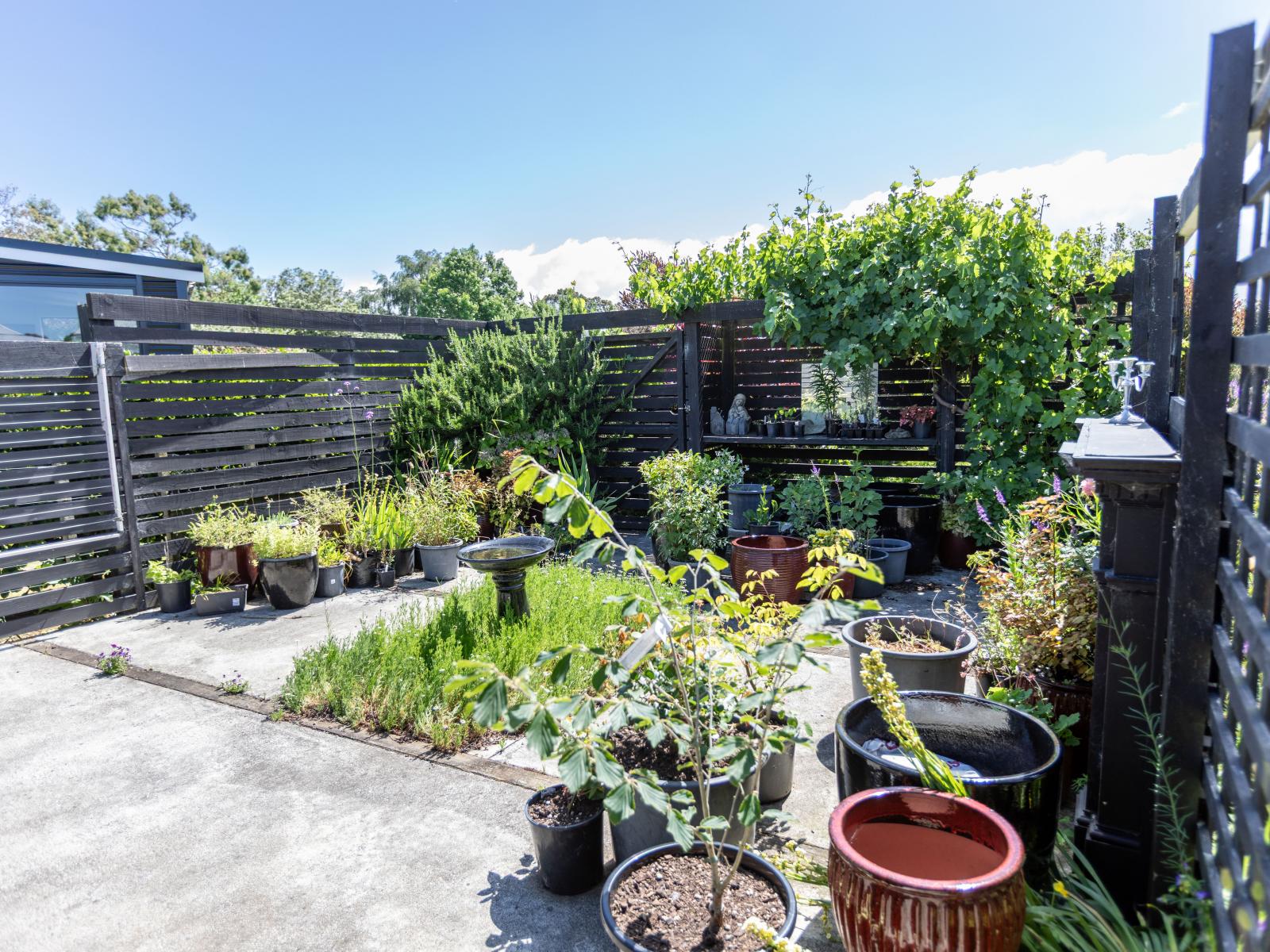 113 Grey Street, Woodville