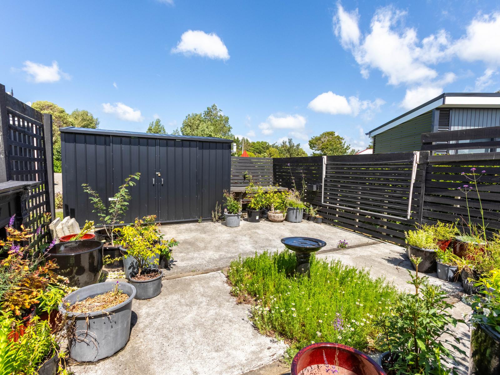 113 Grey Street, Woodville