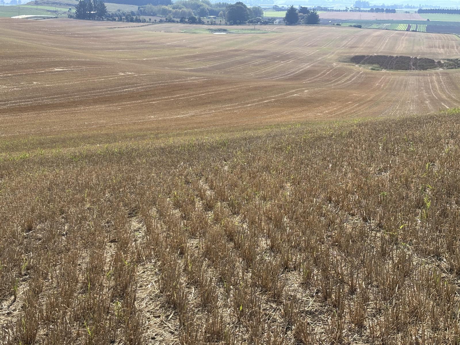 120 Fortification Road, Kakanui