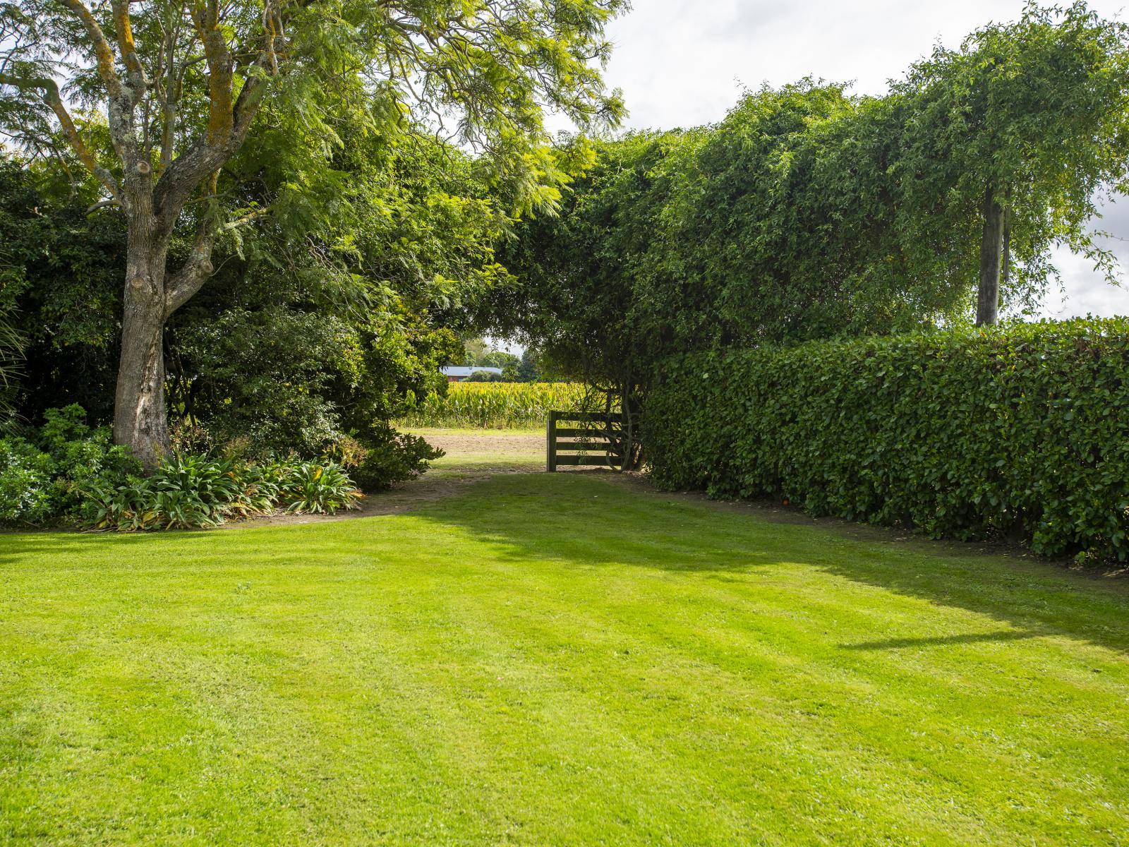 121 Bell Road, Matawhero