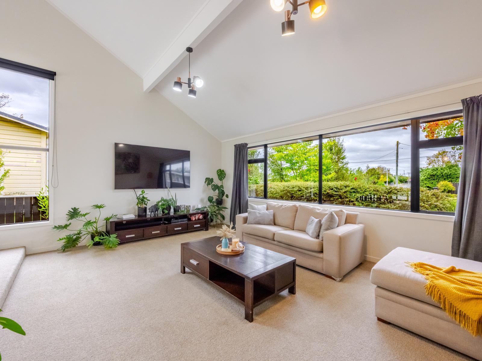 19 Francis Drake Street, Waipukurau