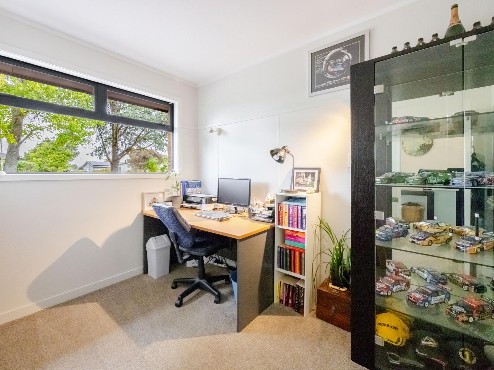 19 Francis Drake Street, Waipukurau