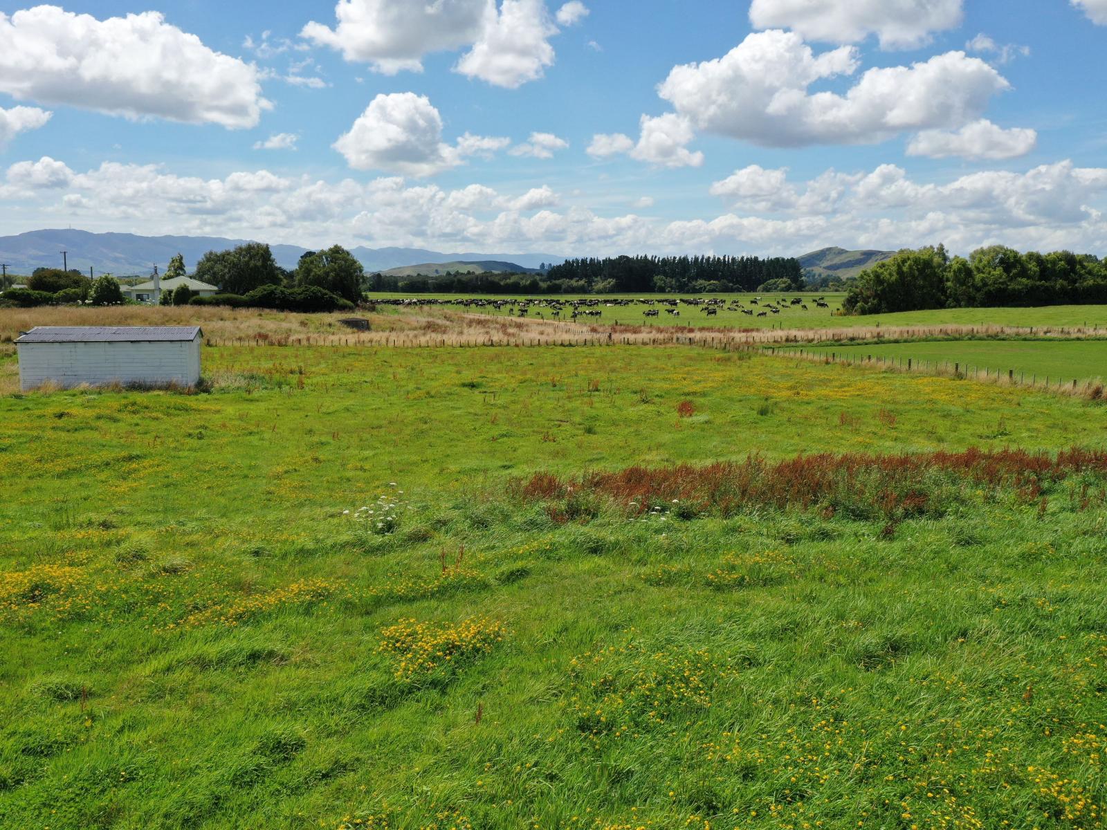 56 Oparatai Road, Pahiatua