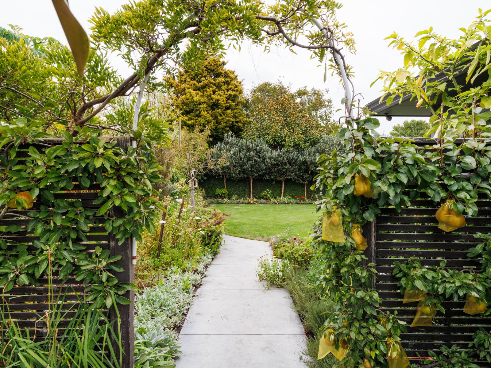 23 North Street, Palmerston North