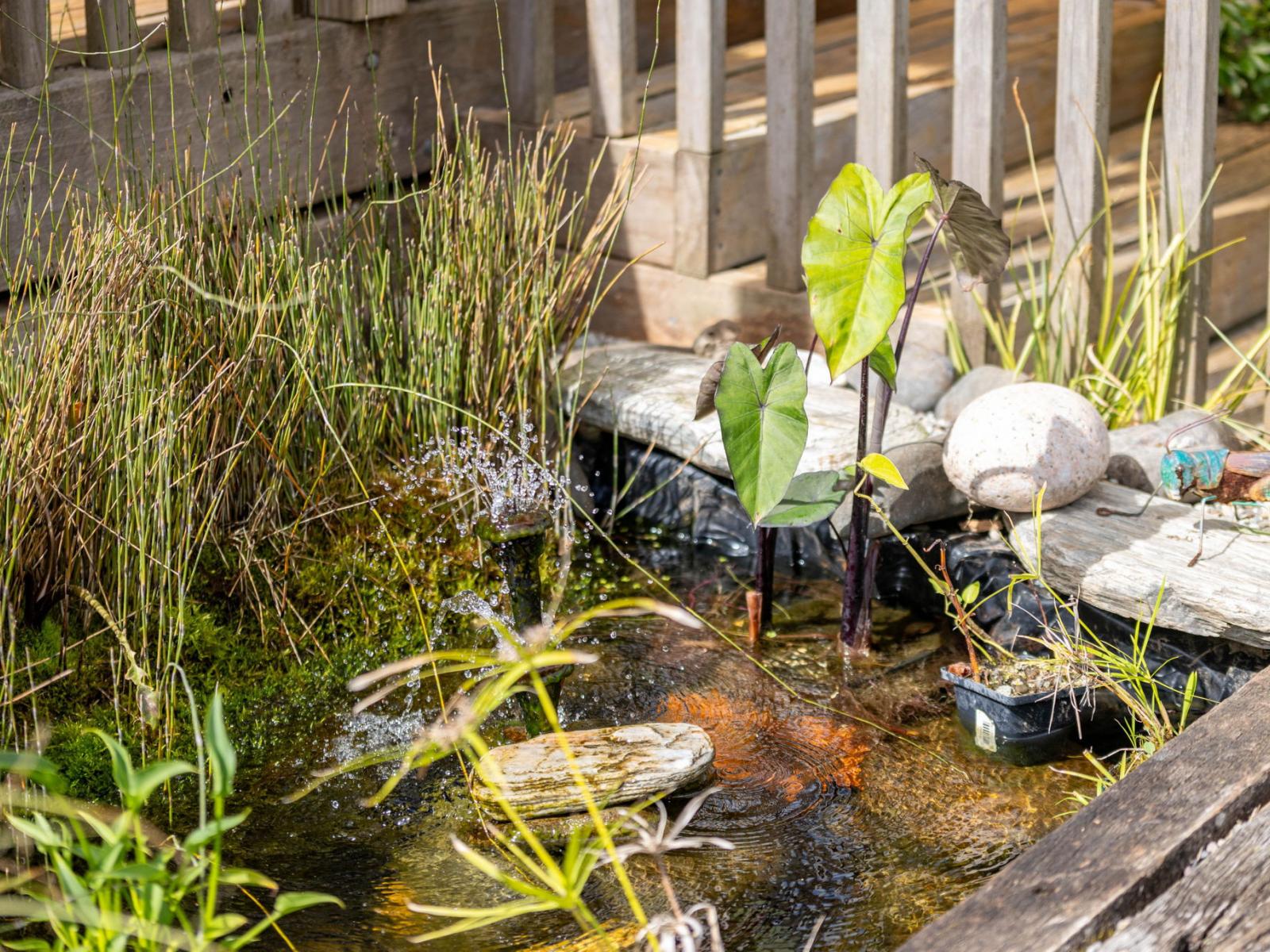 93 Gibson Lane, Te Awamutu