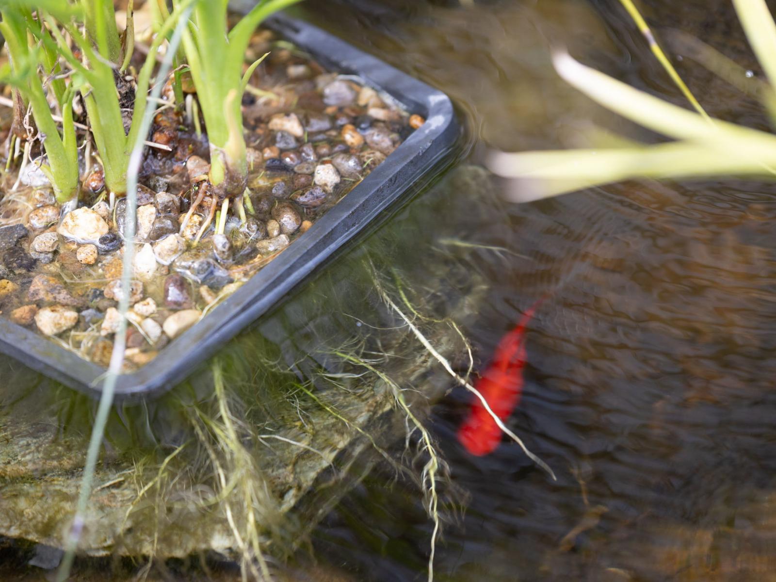 93 Gibson Lane, Te Awamutu