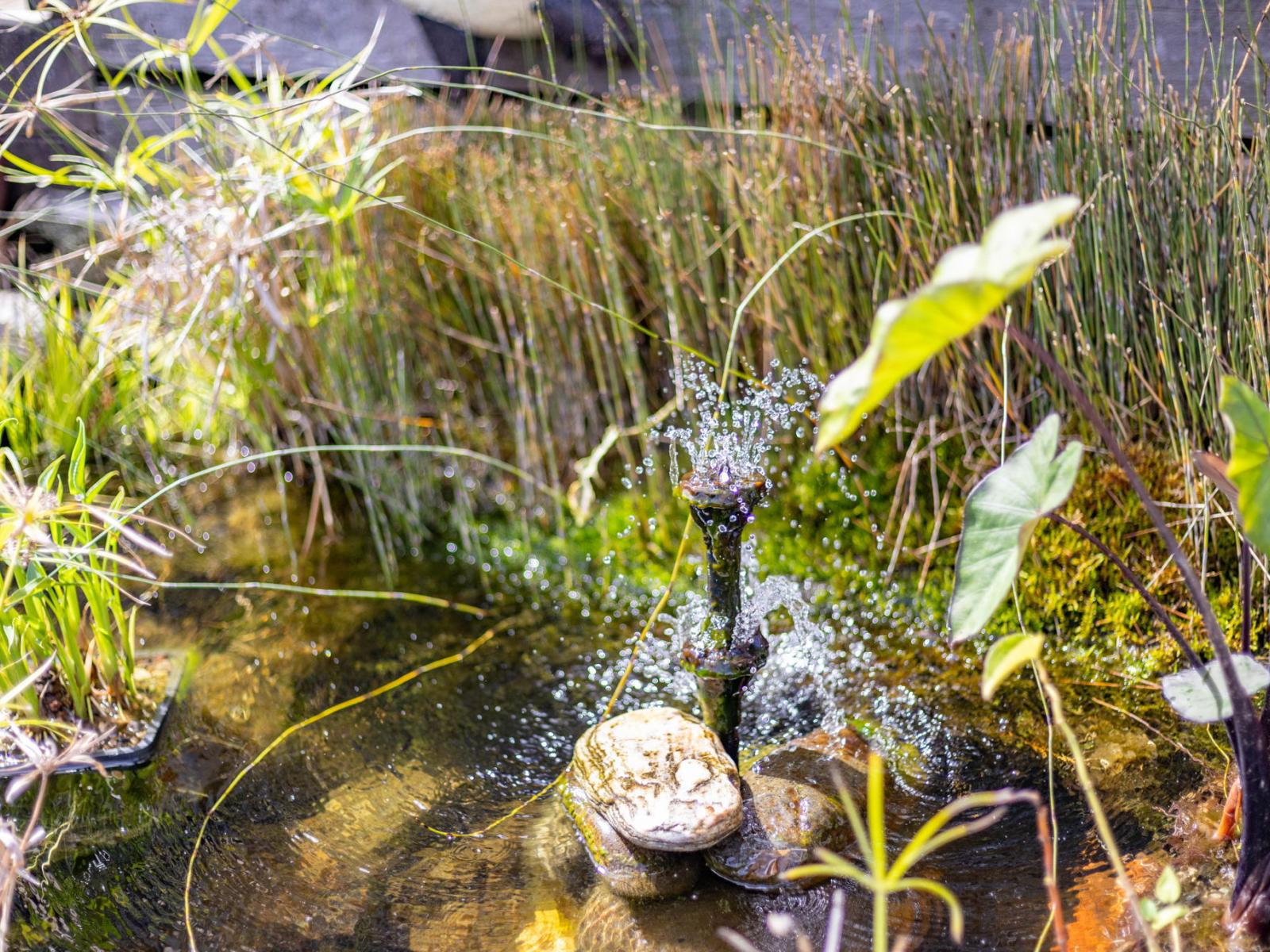 93 Gibson Lane, Te Awamutu