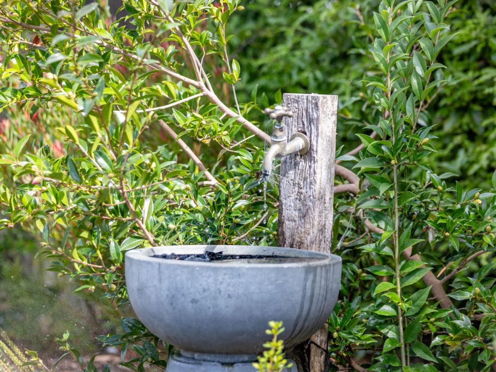 93 Gibson Lane, Te Awamutu