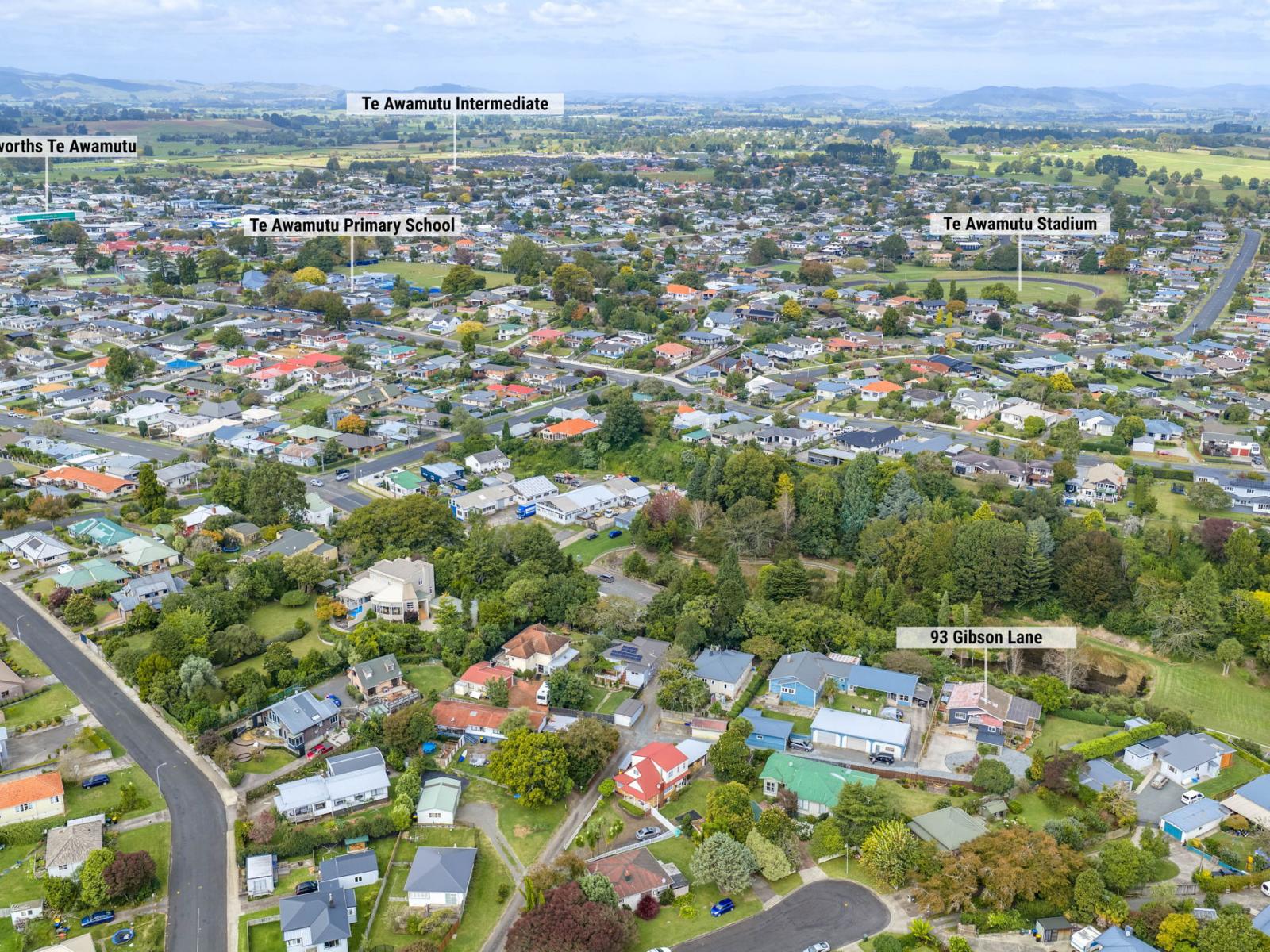 93 Gibson Lane, Te Awamutu