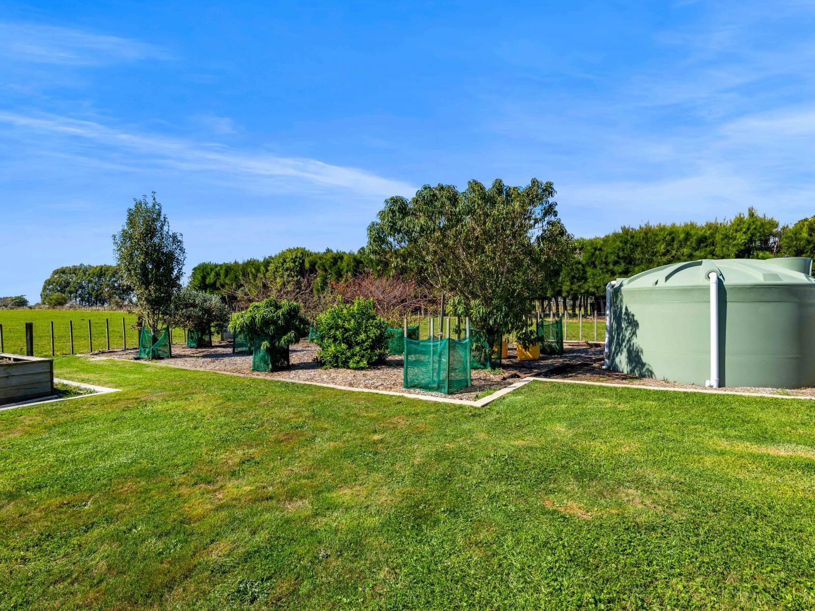 123 Princess Street, Waitara