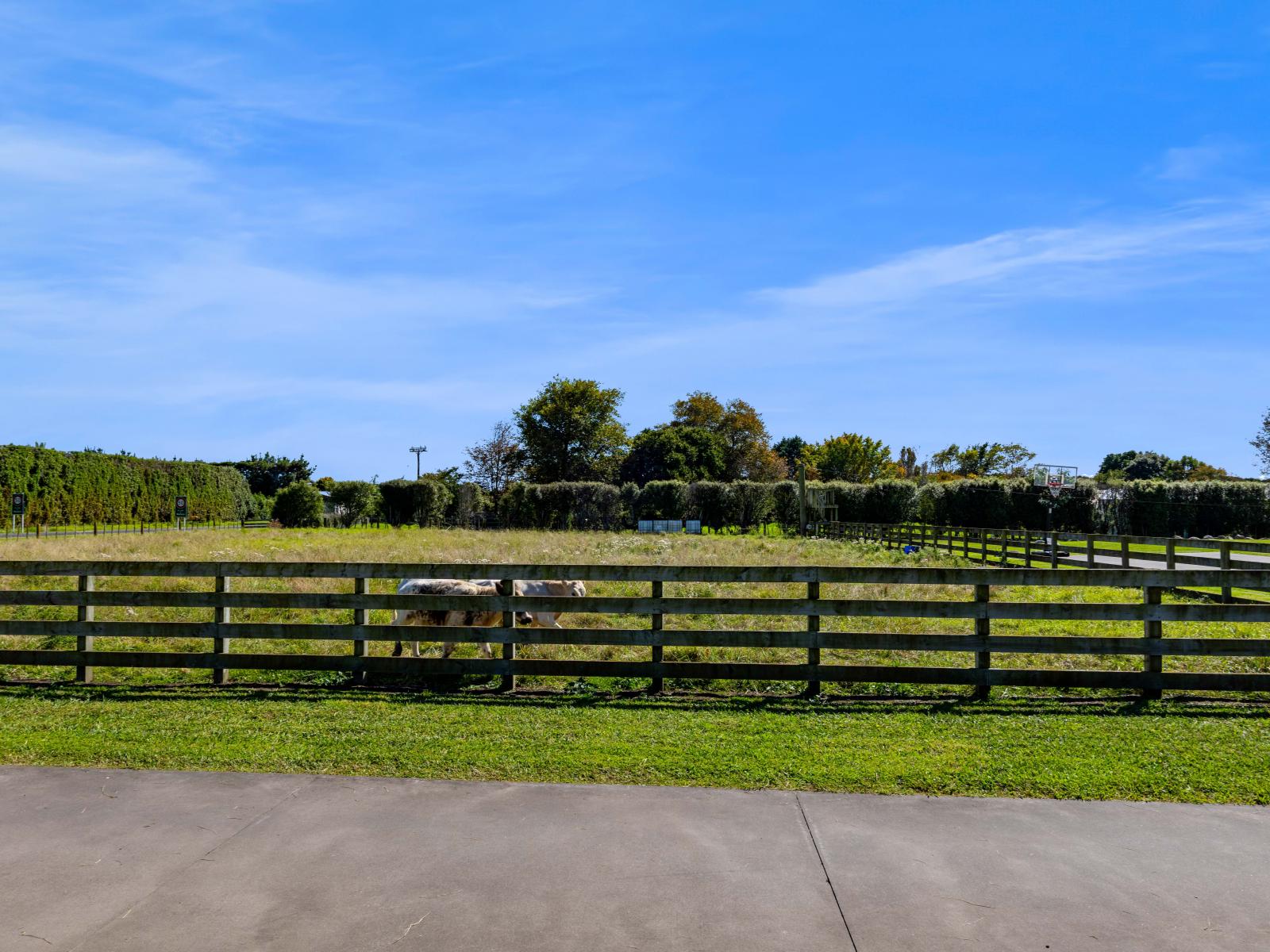 123 Princess Street, Waitara