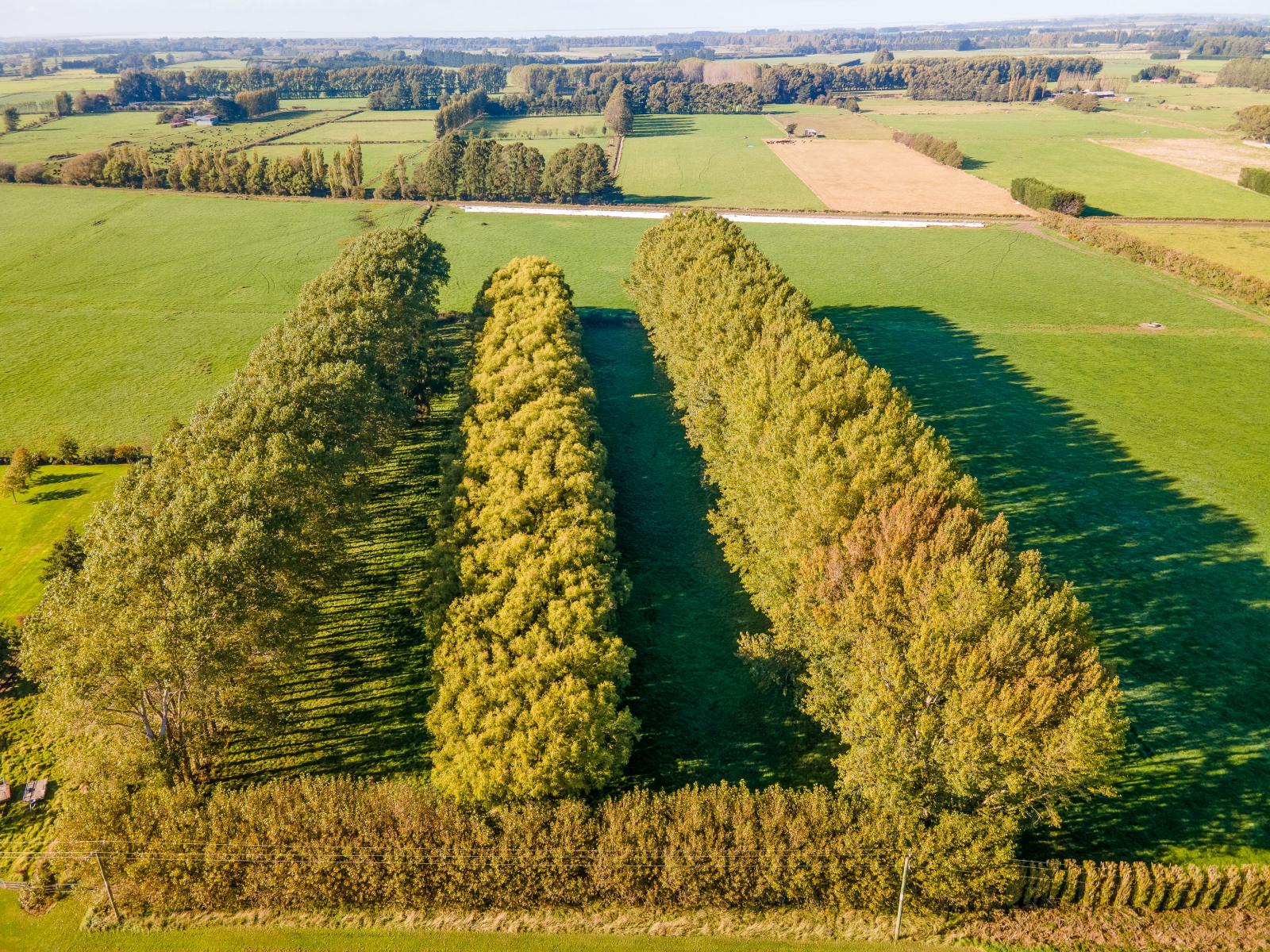 109 Marshalls Road, Springston