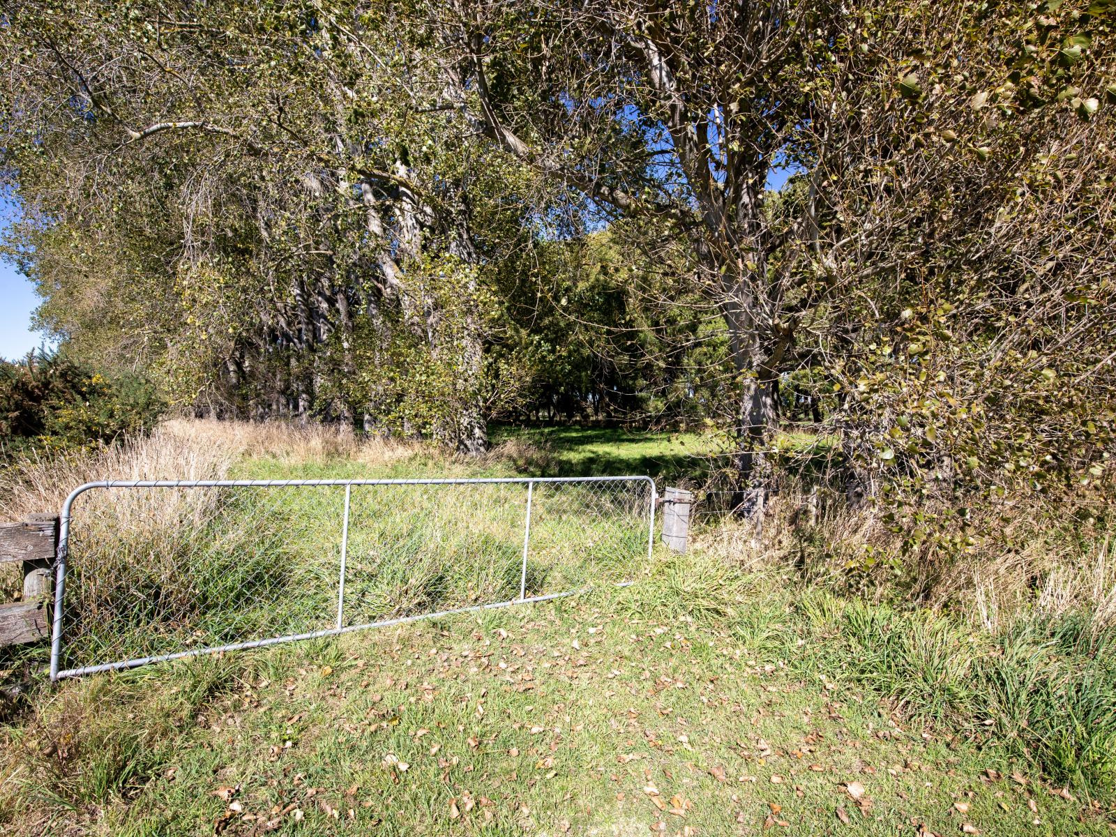 109 Marshalls Road, Springston