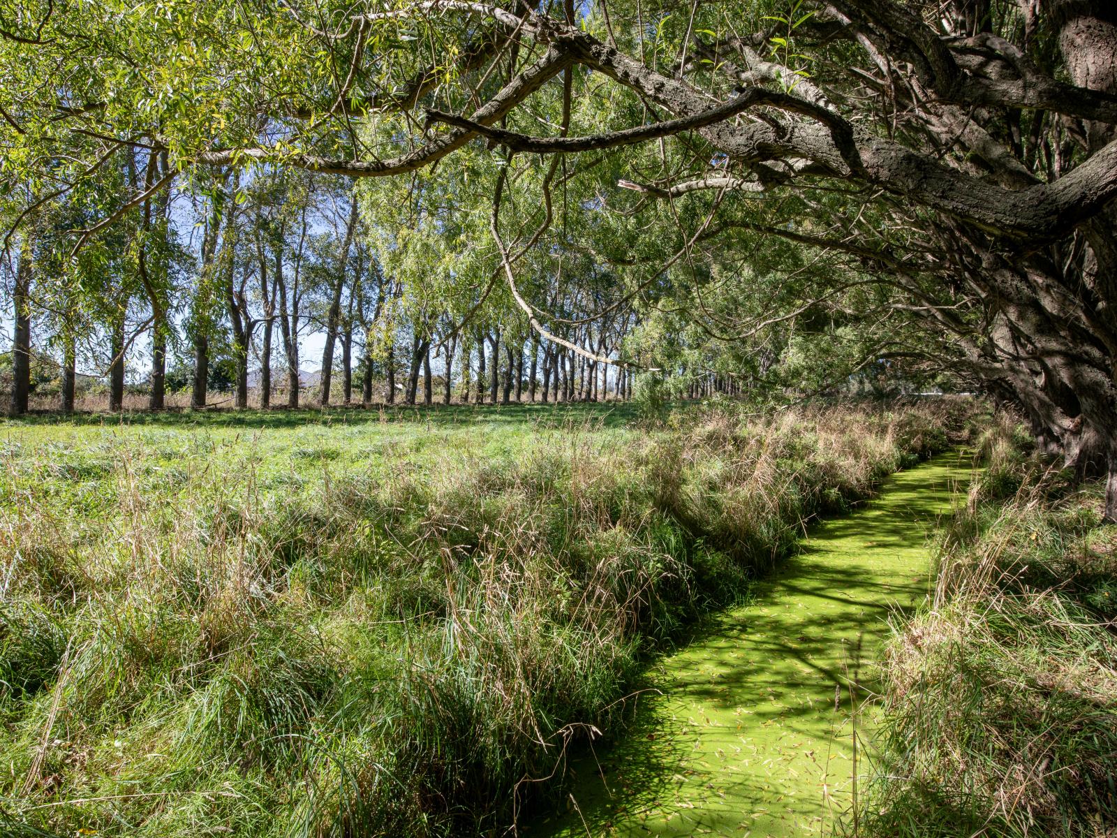 109 Marshalls Road, Springston