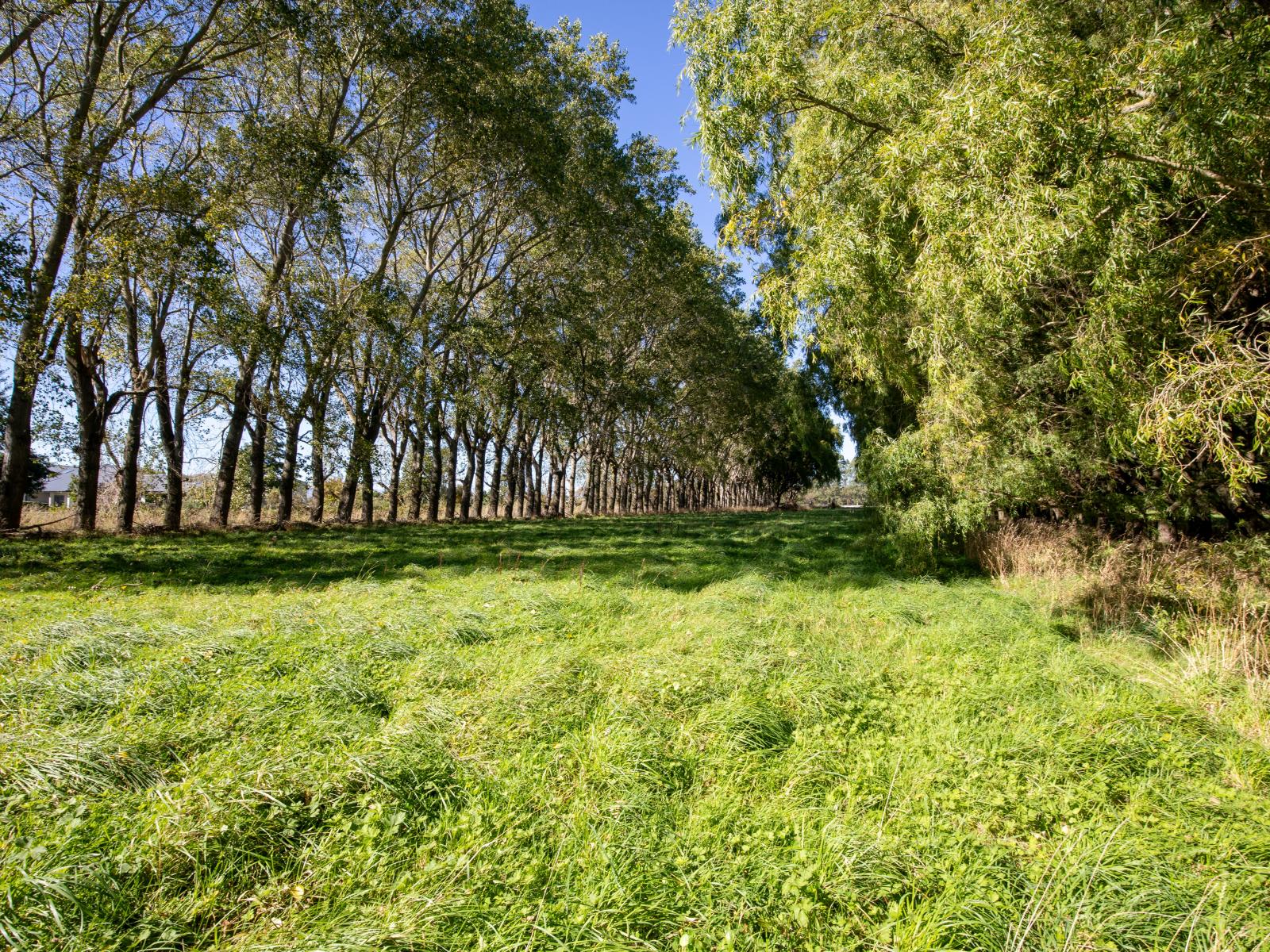 109 Marshalls Road, Springston