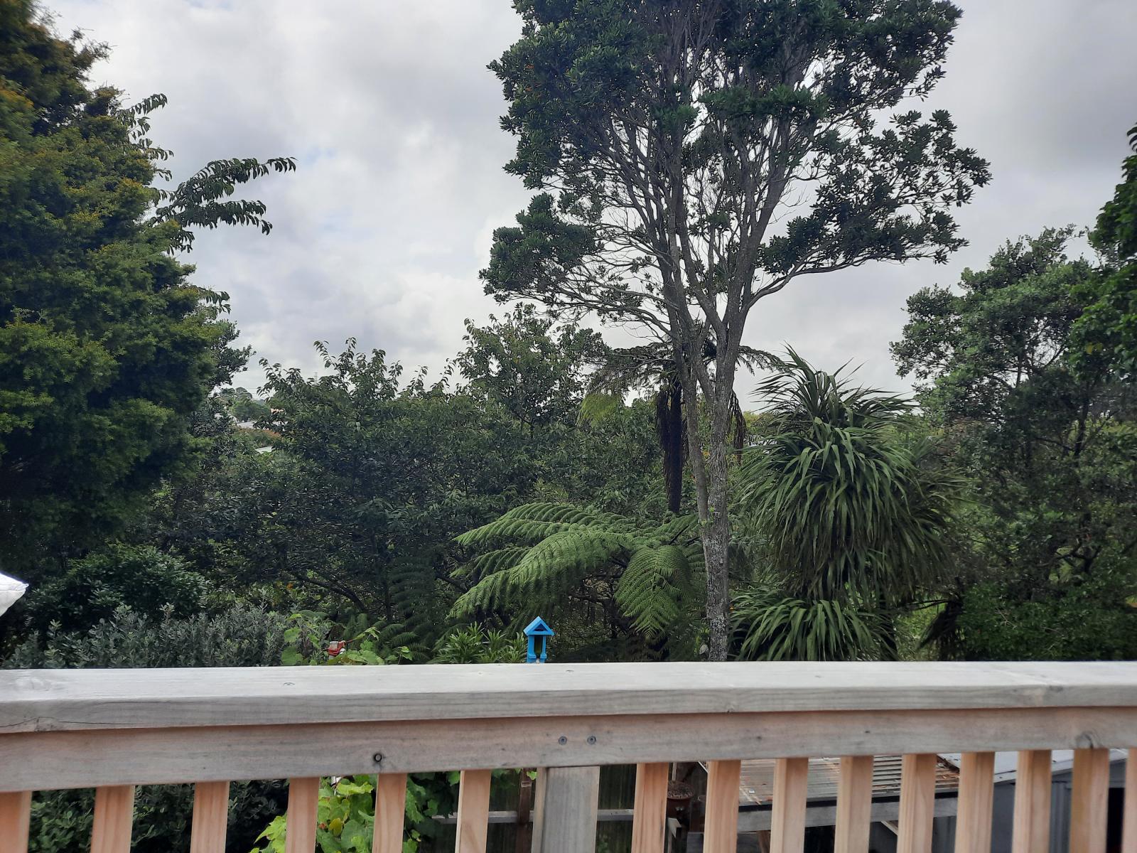 17D Manu Crescent, Upper Vogeltown