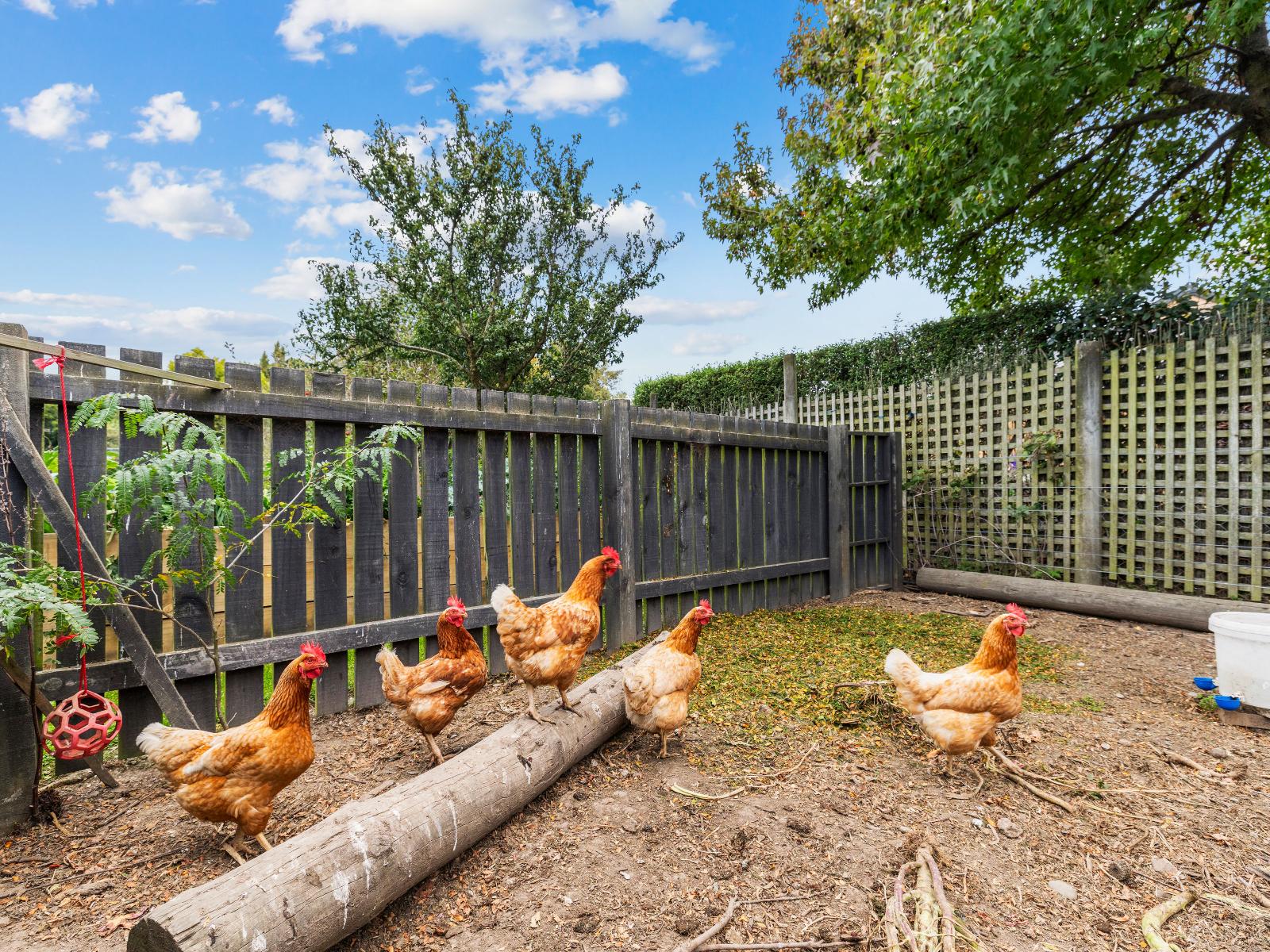 19 Waterholes Road, Springston