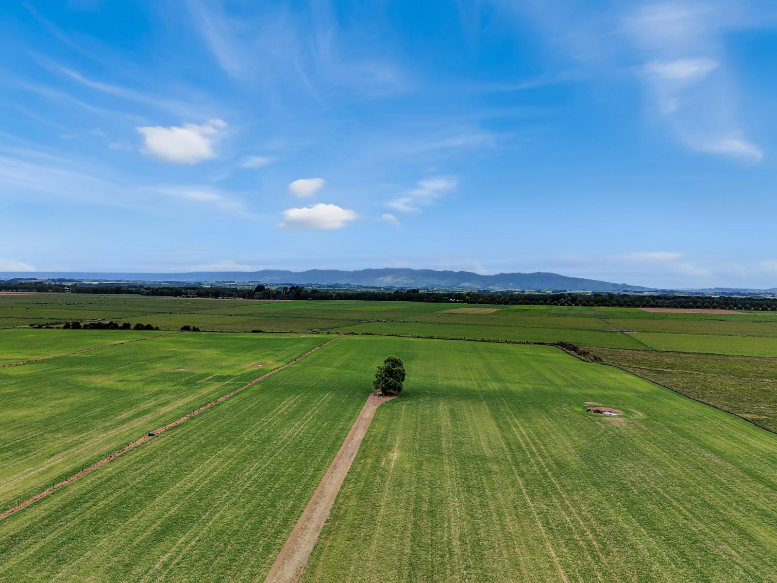 652 Makino Road, Feilding
