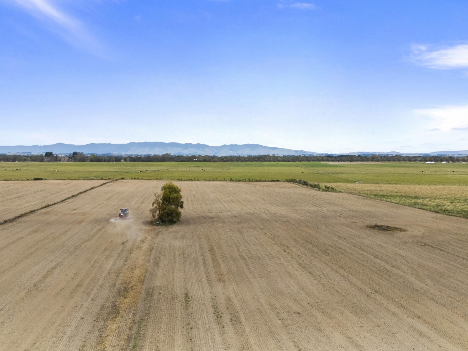 652 Makino Road, Feilding