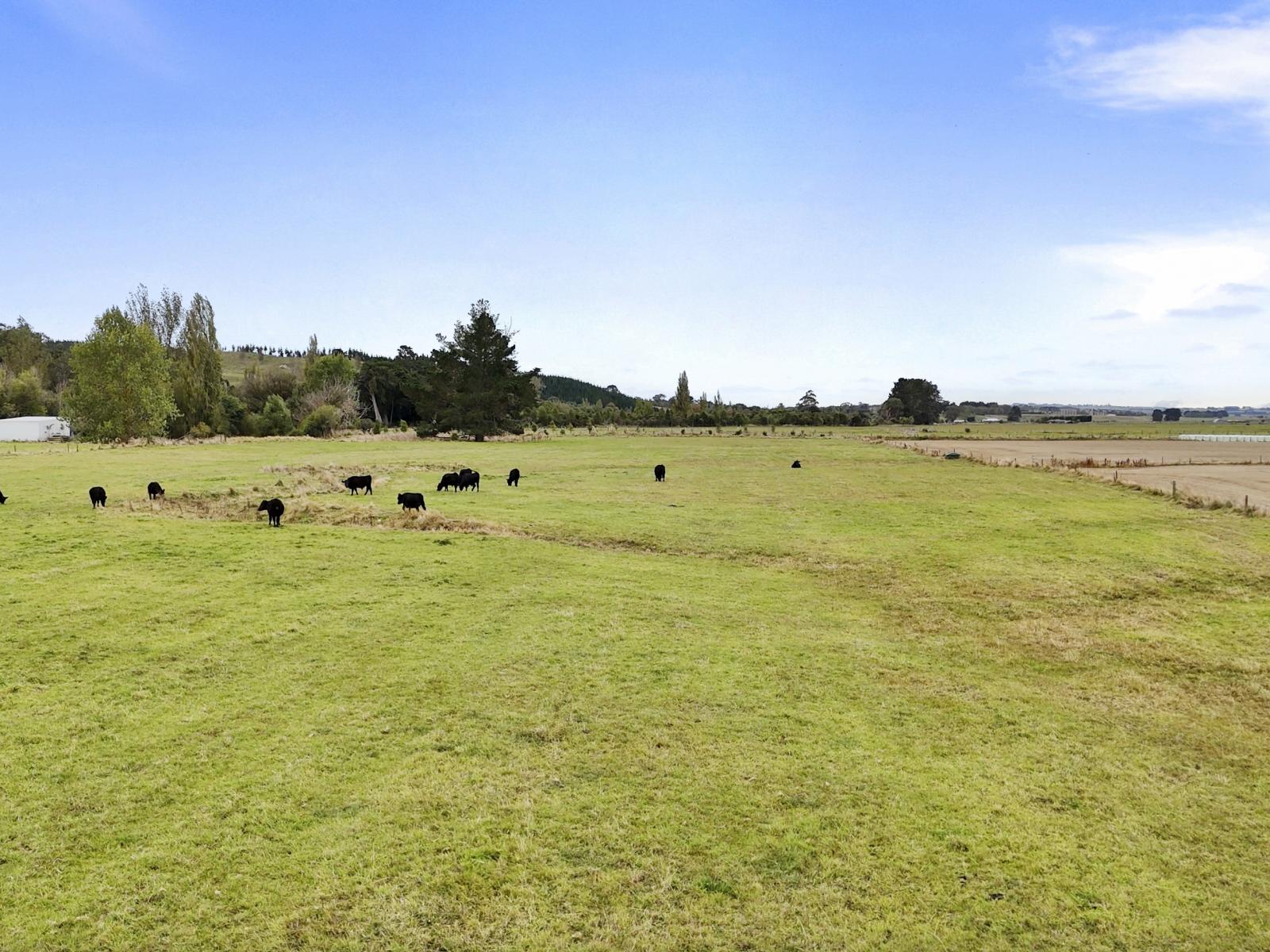 652 Makino Road, Feilding