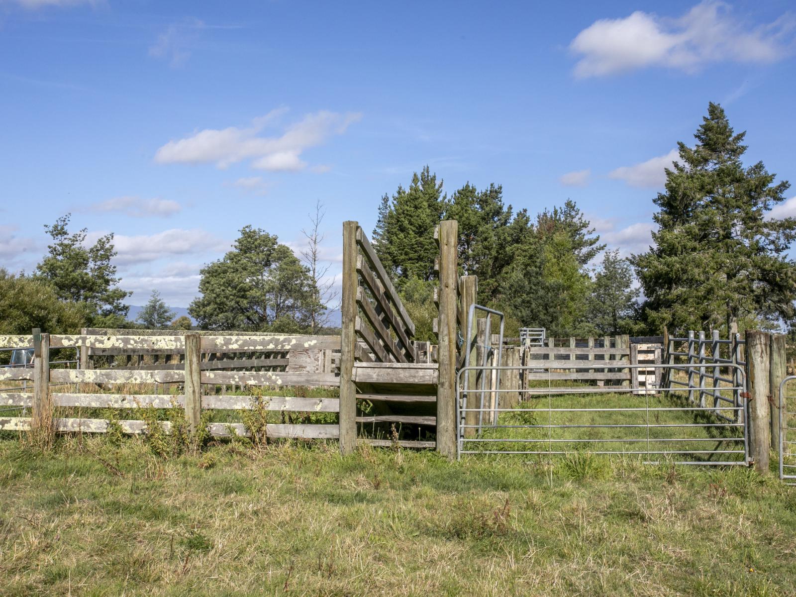 652 Makino Road, Feilding