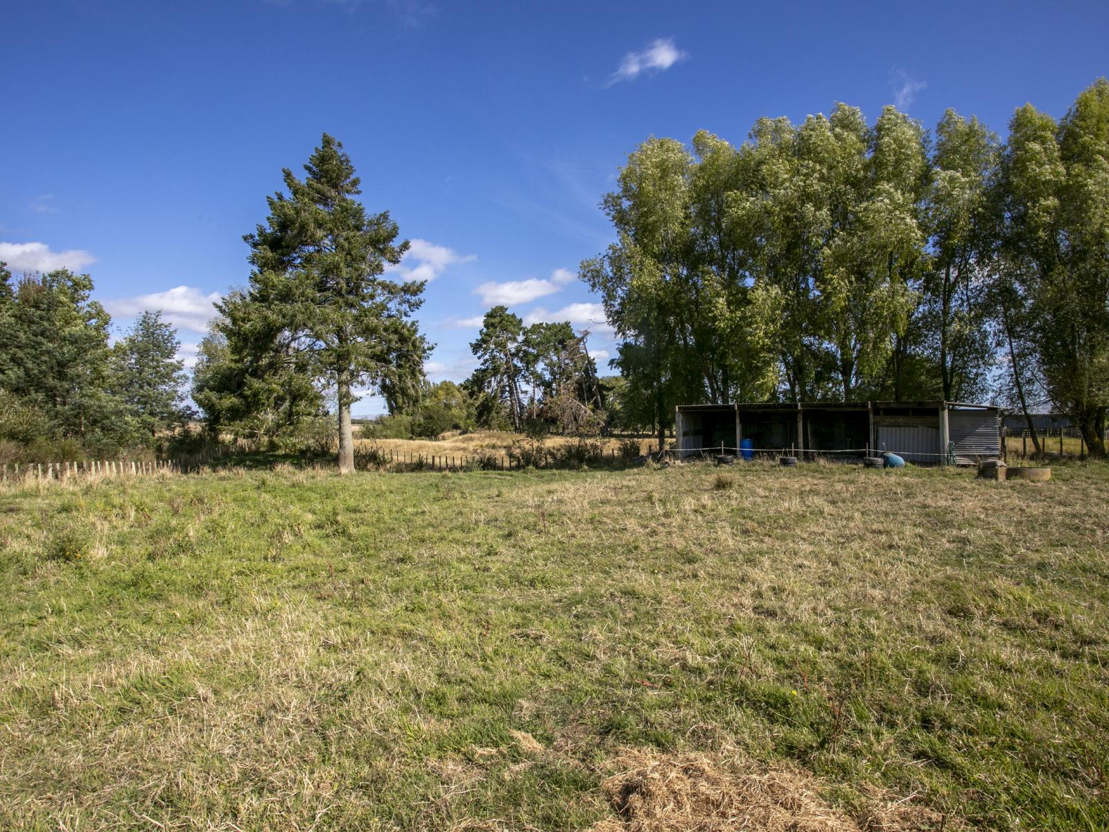 652 Makino Road, Feilding