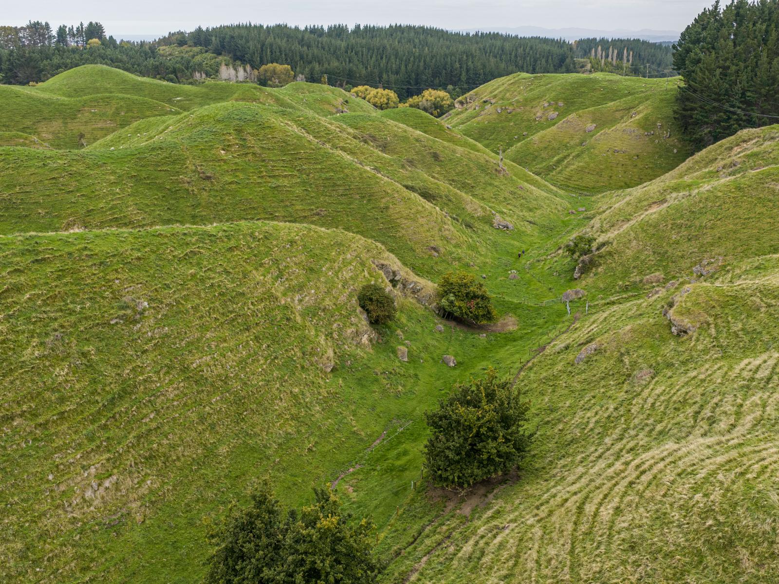 81 Kaiwaka Road, Tangoio