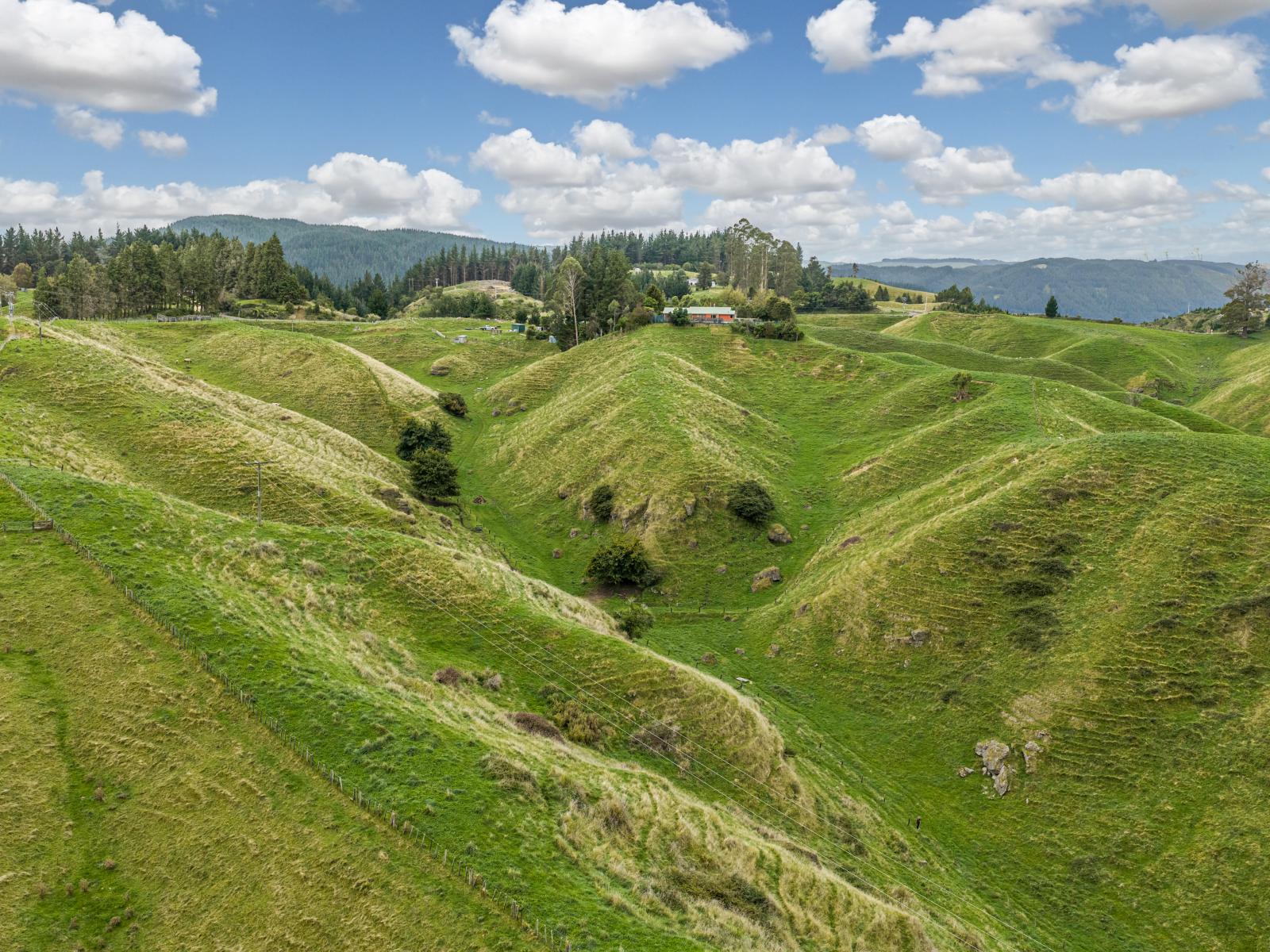 81 Kaiwaka Road, Tangoio