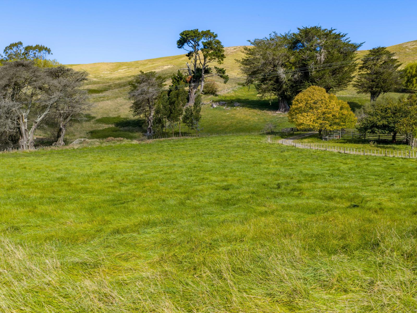Lot 2, 127 Ongaonga Road, Waipawa