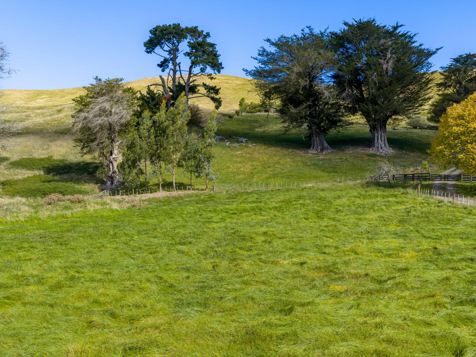 Lot 2, 127 Ongaonga Road, Waipawa