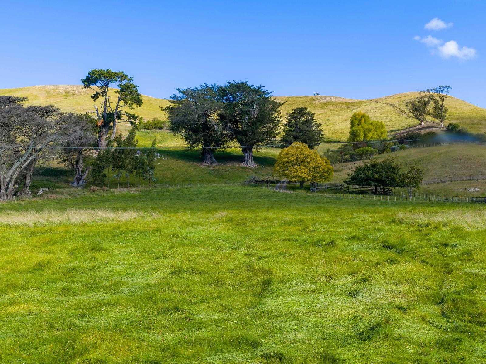 Lot 2, 127 Ongaonga Road, Waipawa