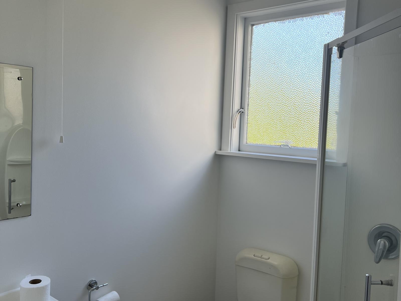 157, 159 and 161 Carroll Street, Dunedin Central