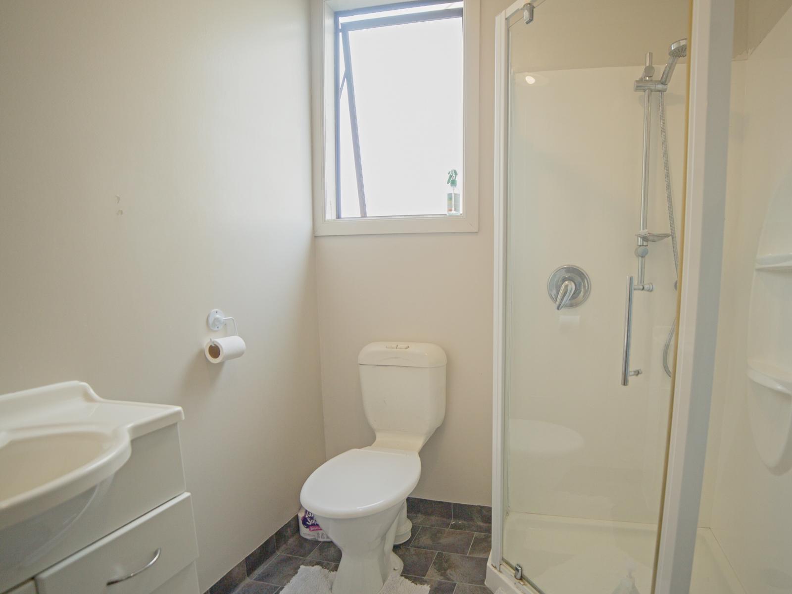 157, 159 and 161 Carroll Street, Dunedin Central