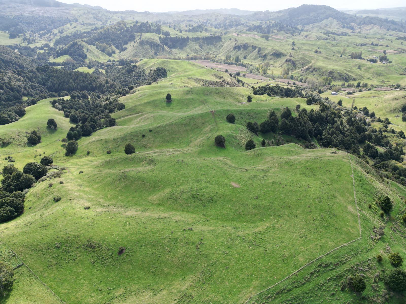 Paraketu Road, Waimiha
