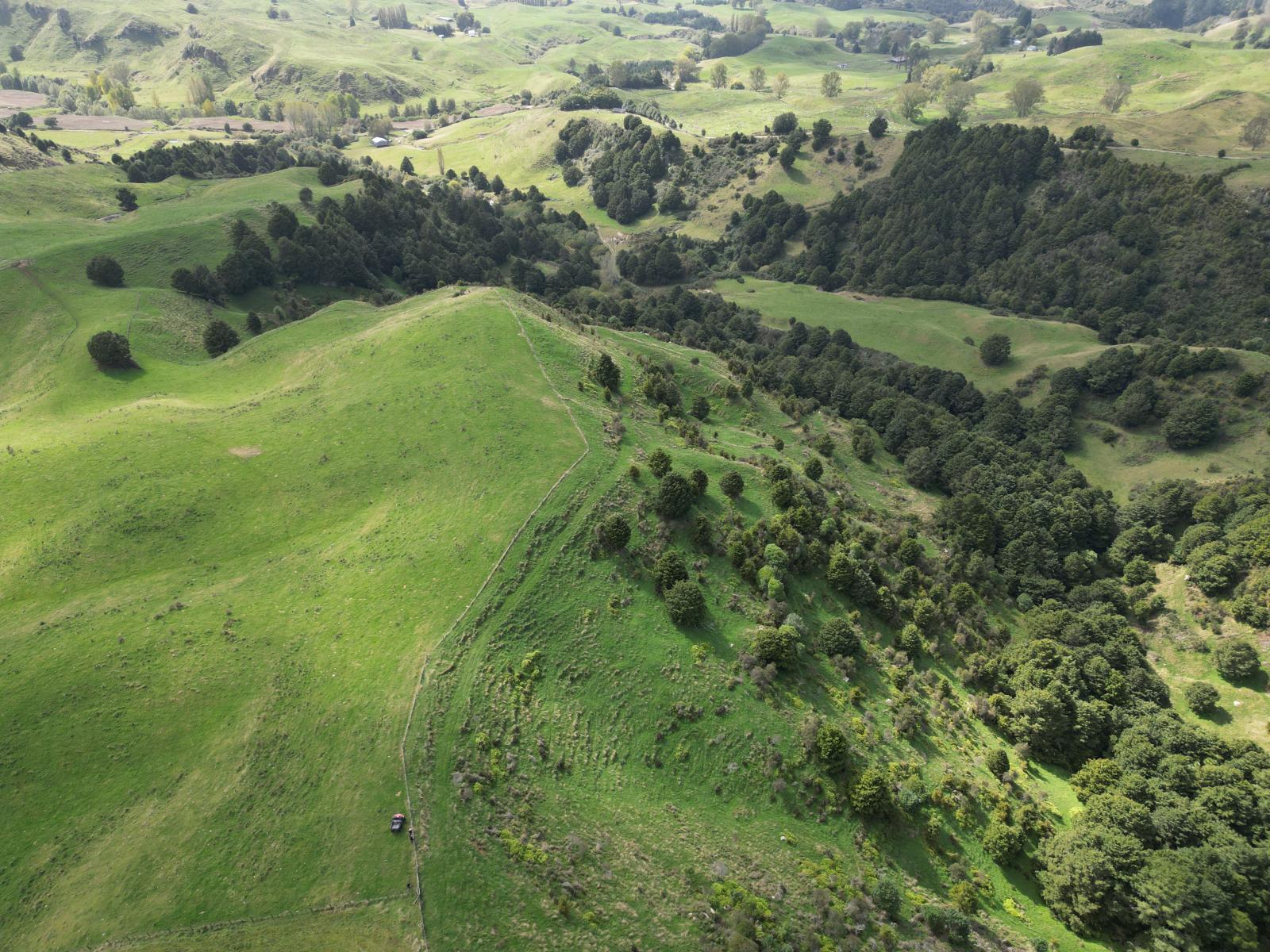Paraketu Road, Waimiha