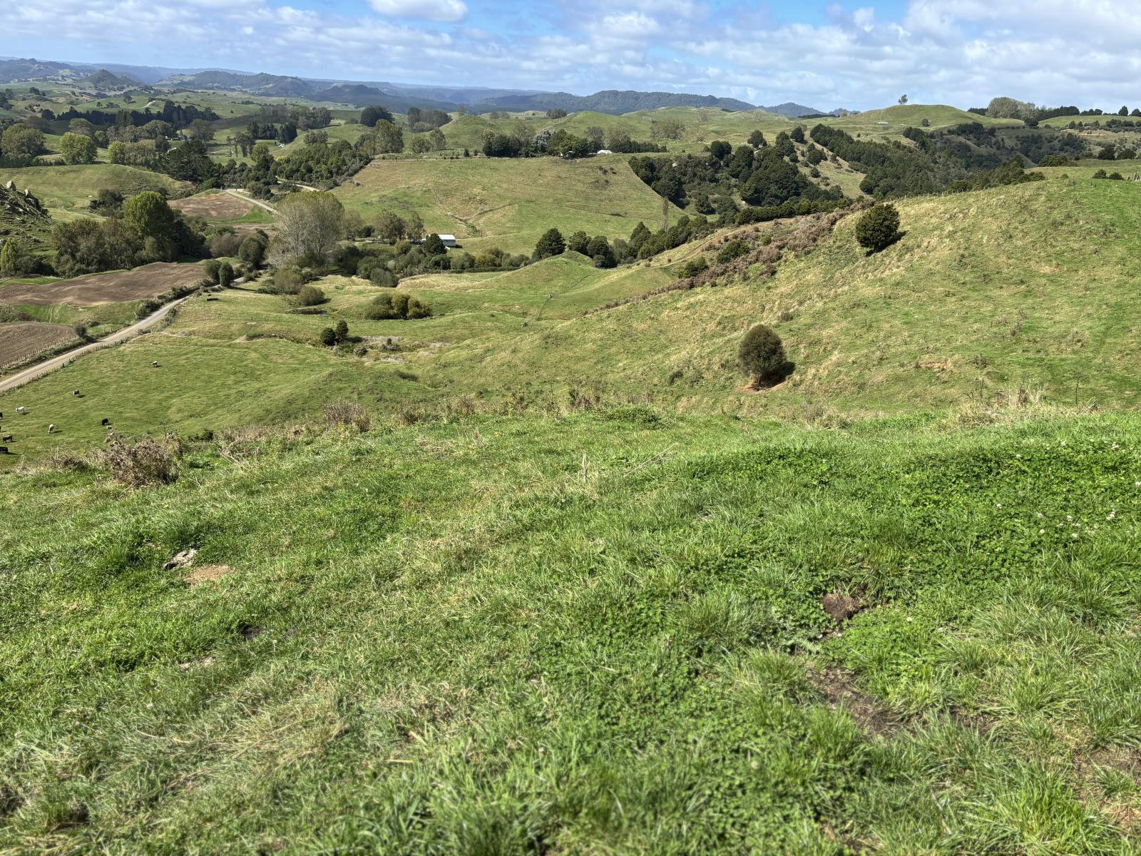 Paraketu Road, Waimiha