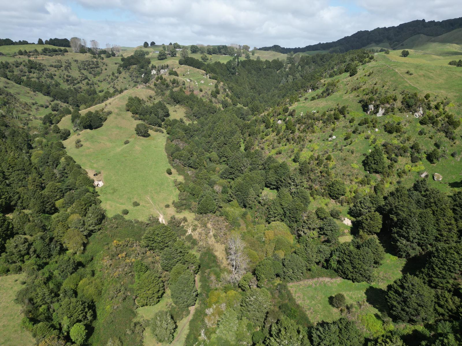 Paraketu Road, Waimiha