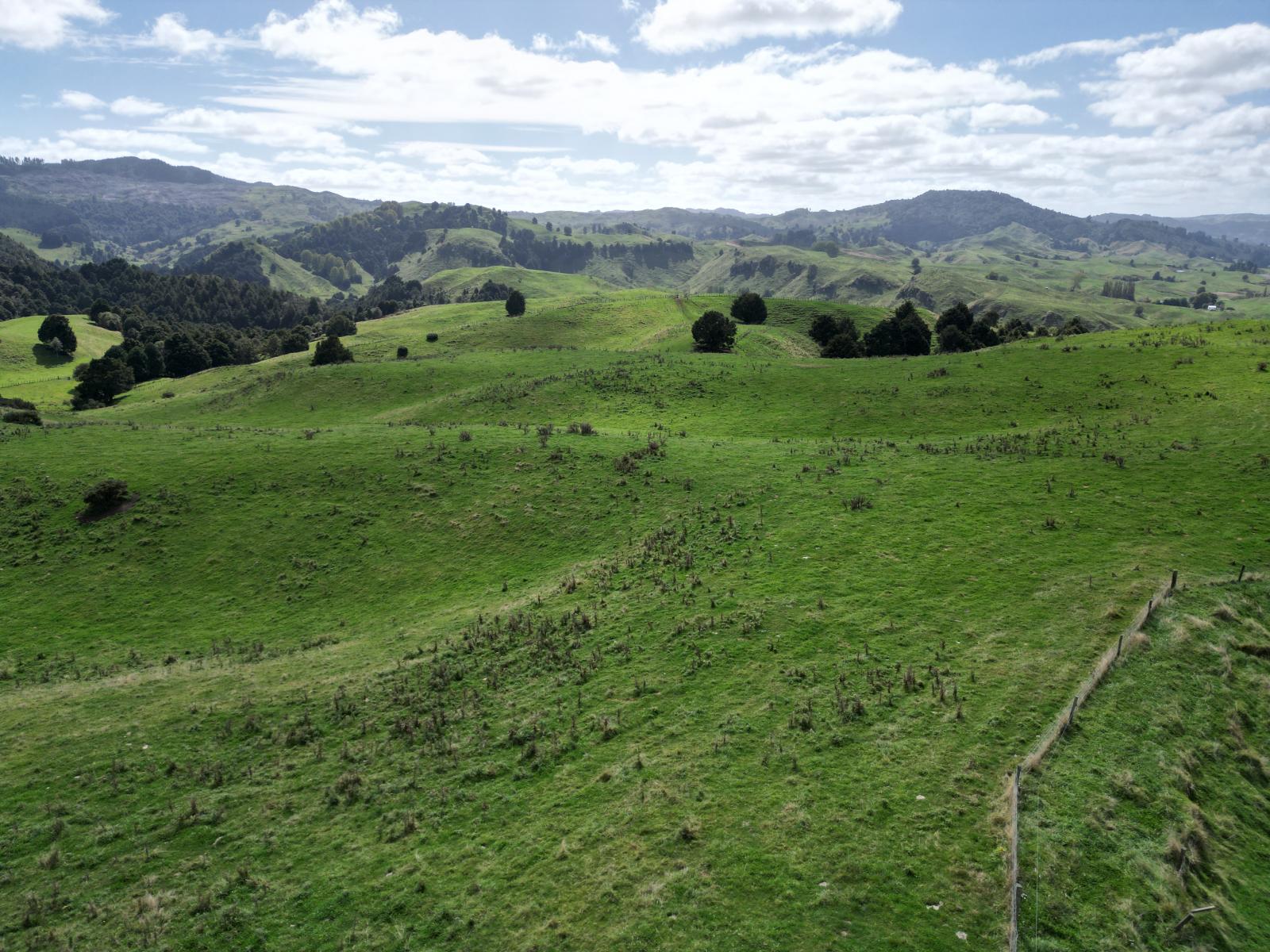 Paraketu Road, Waimiha