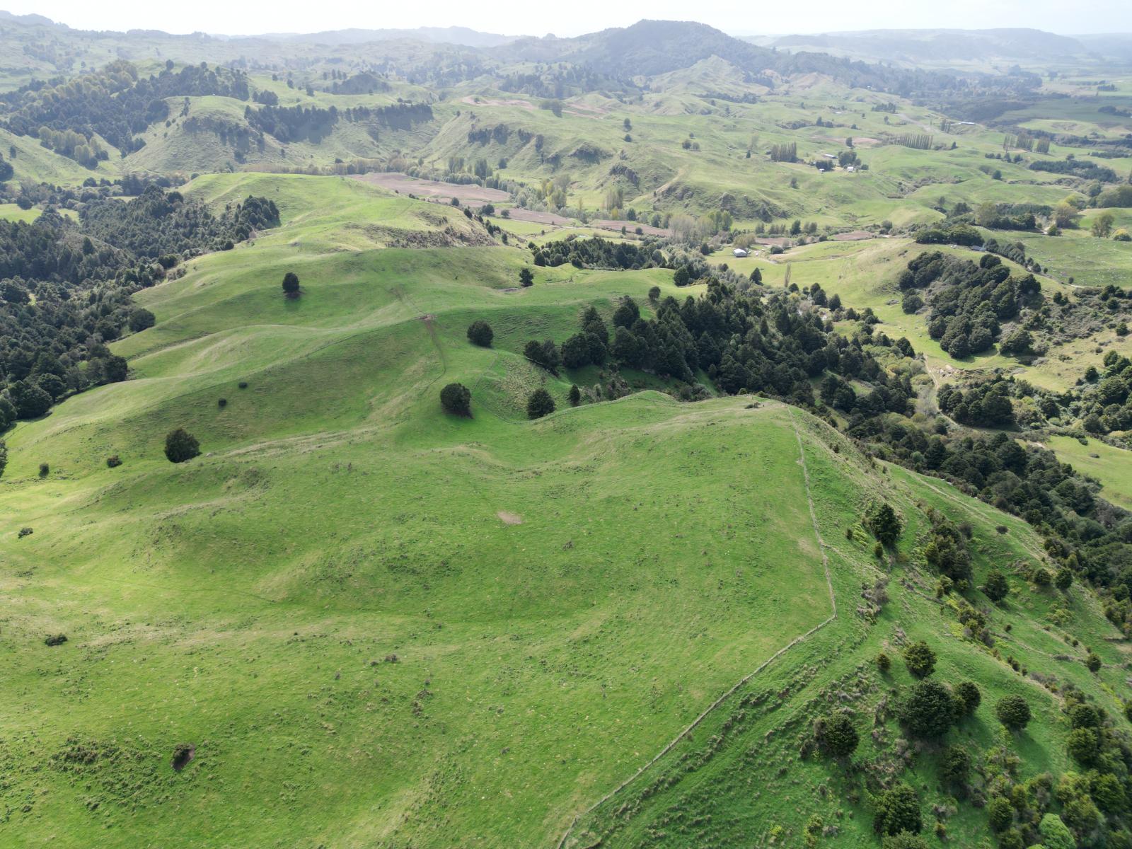 Paraketu Road, Waimiha