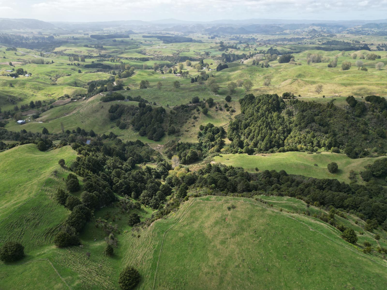Paraketu Road, Waimiha