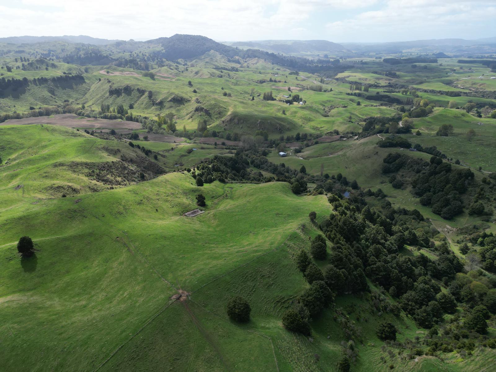 Paraketu Road, Waimiha