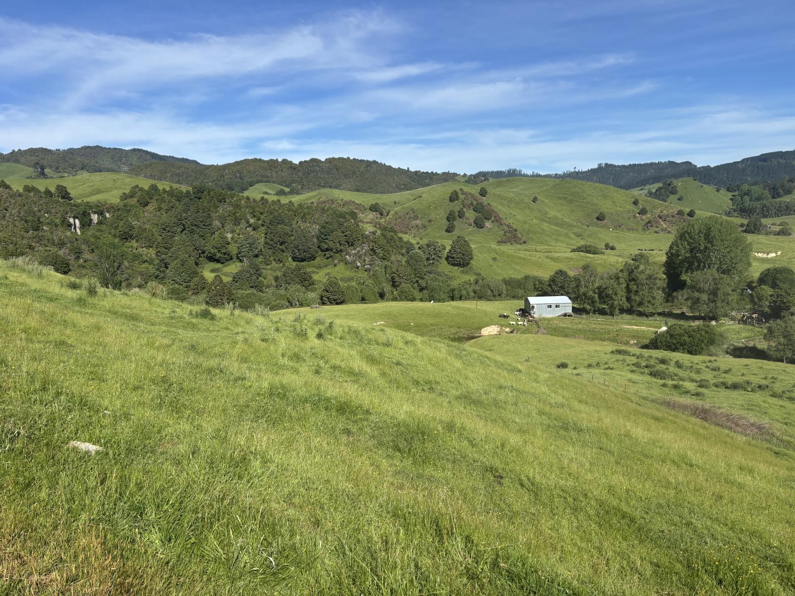 Paraketu Road, Waimiha