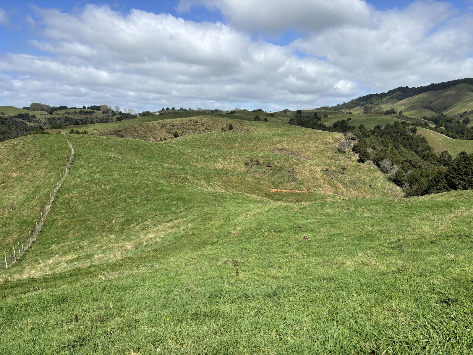 Paraketu Road, Waimiha