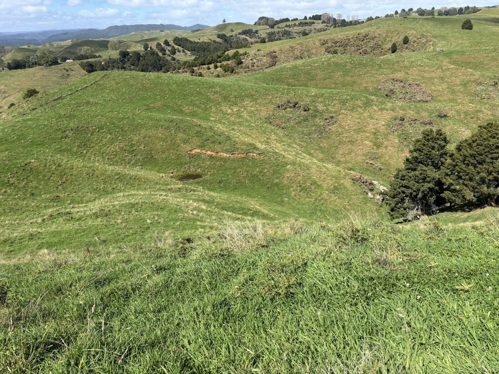 Paraketu Road, Waimiha