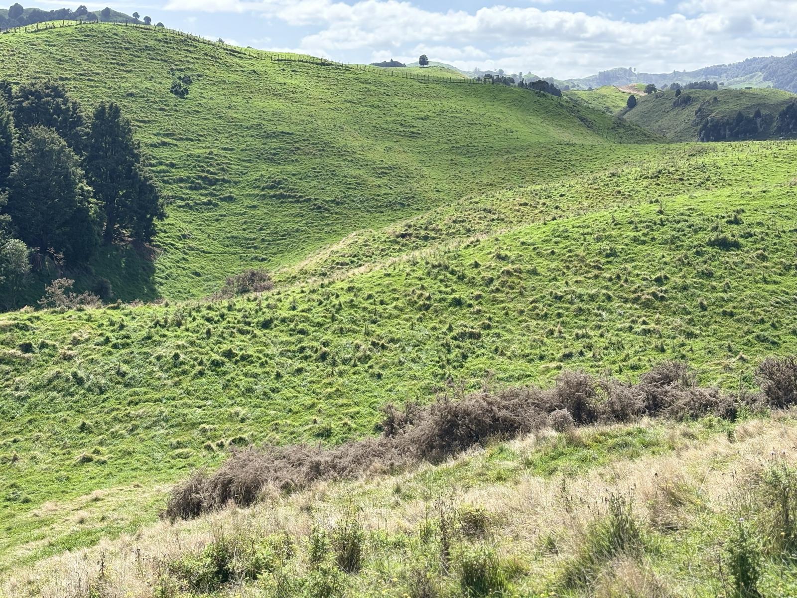 Paraketu Road, Waimiha