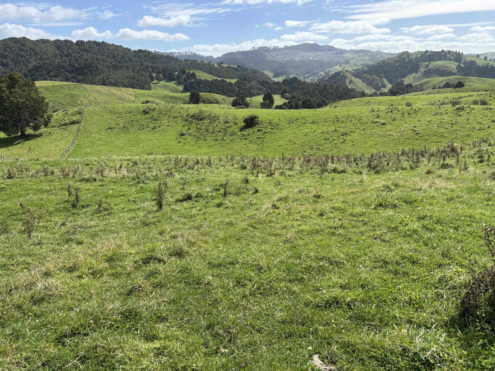 Paraketu Road, Waimiha