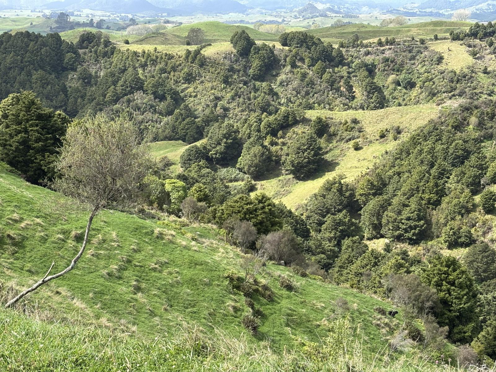 Paraketu Road, Waimiha