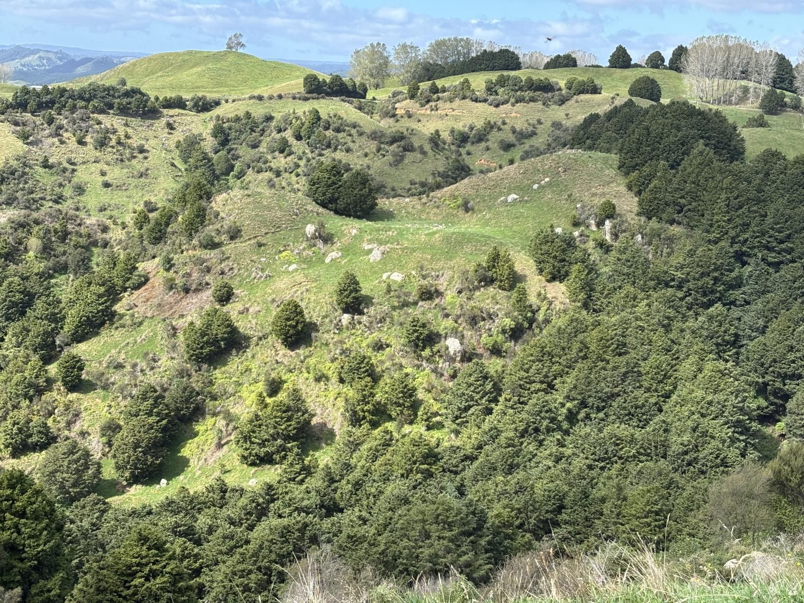 Paraketu Road, Waimiha