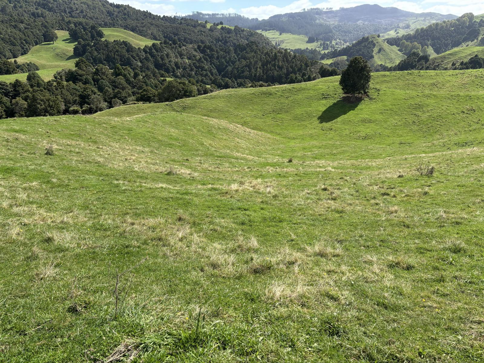 Paraketu Road, Waimiha
