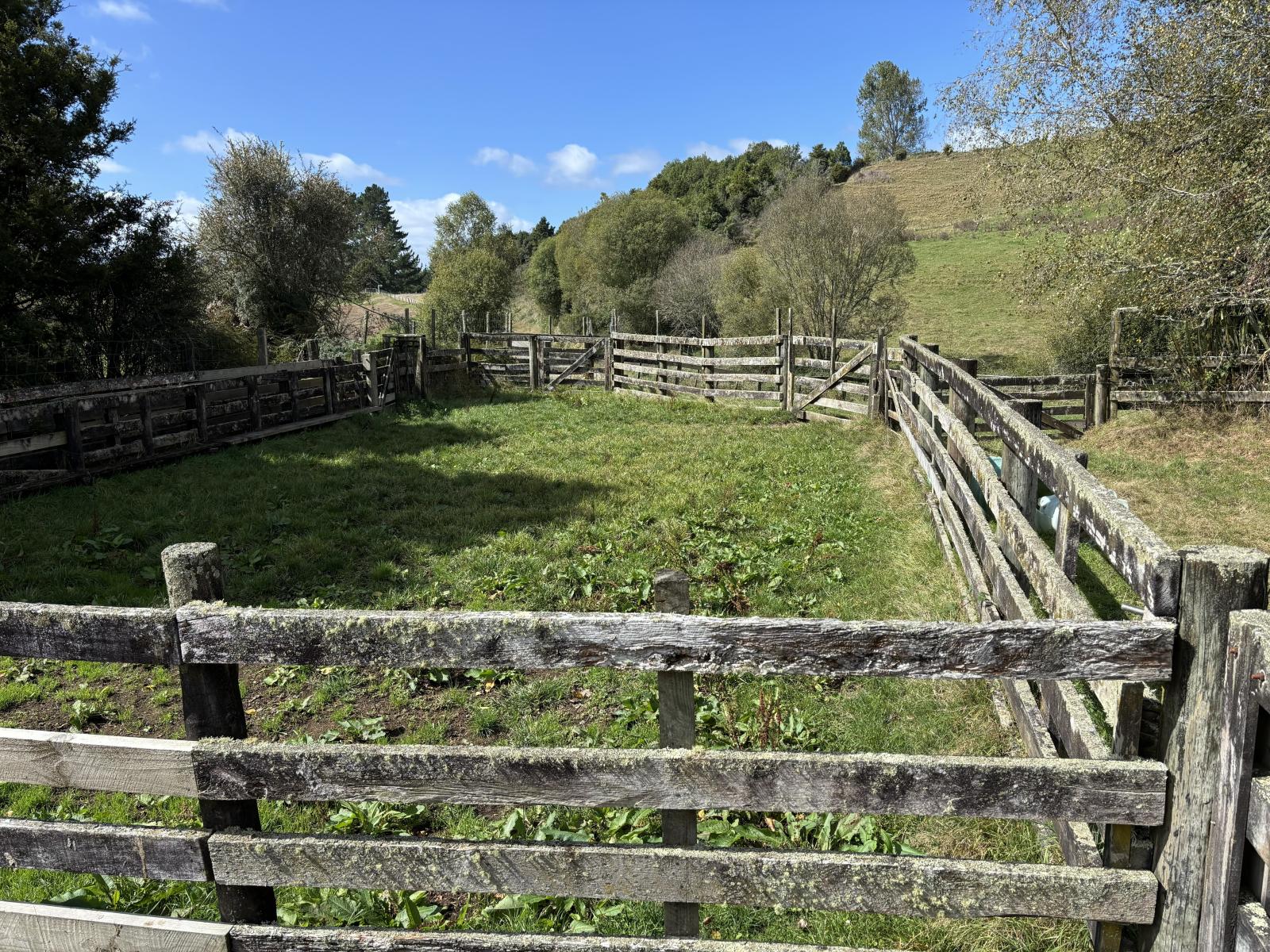 Paraketu Road, Waimiha